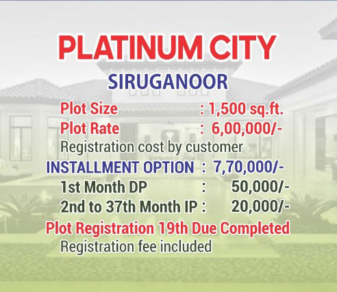 Platinum City